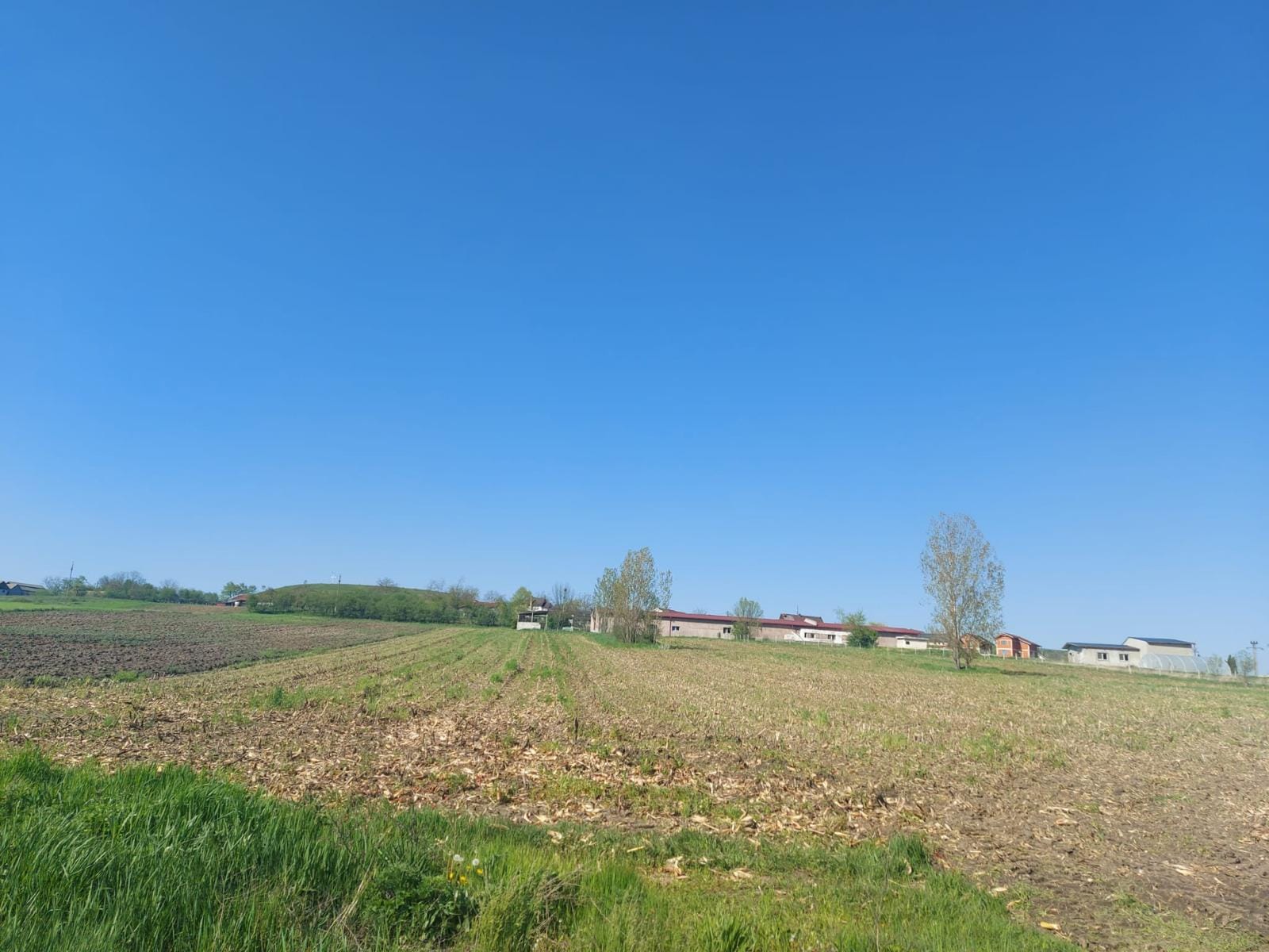 Vând teren intravilan Hidiselu de Sus