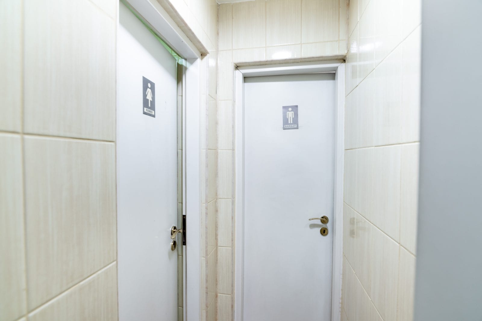 inbound3881844106676538849