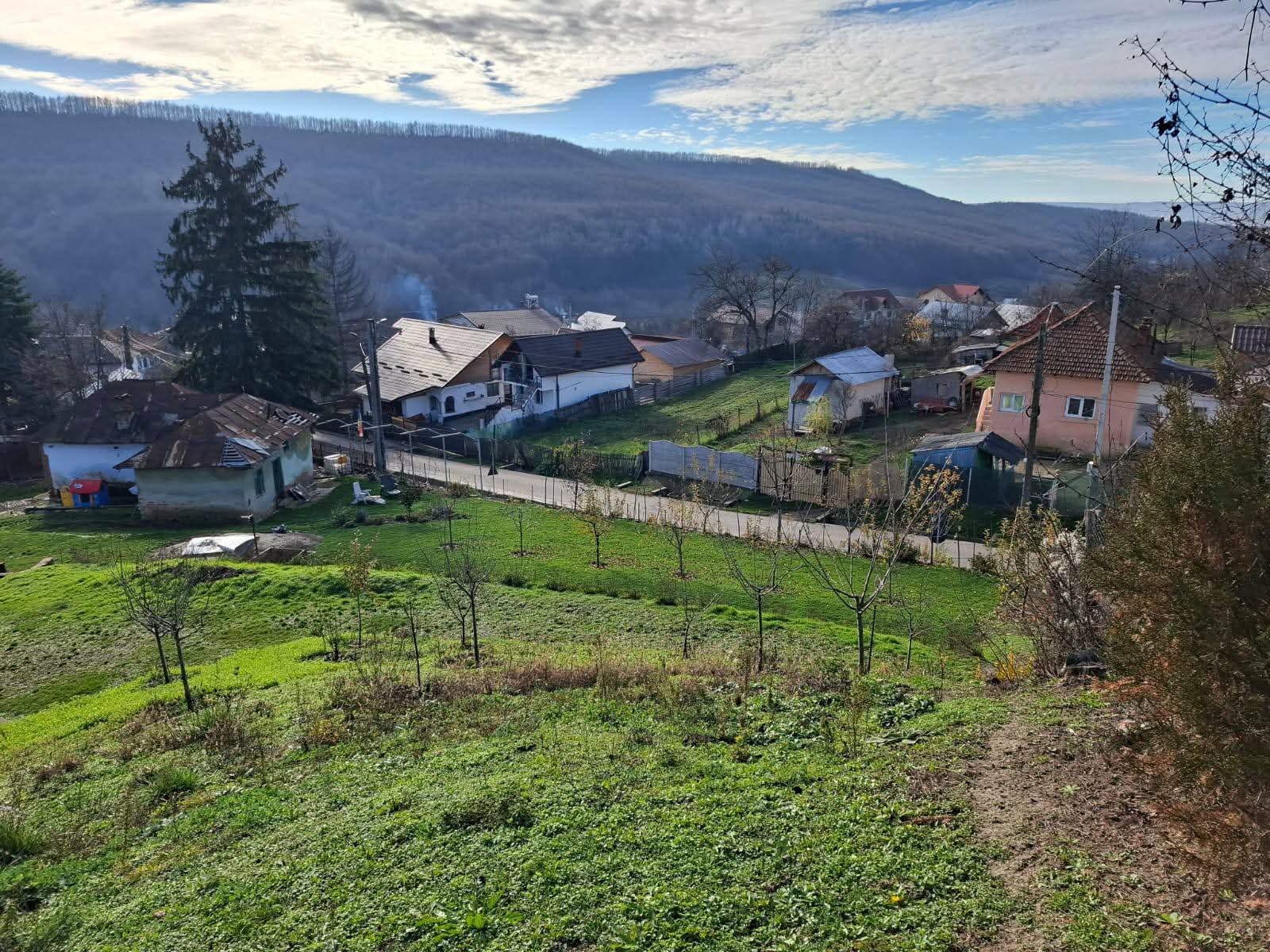 WhatsApp Image 2026-01-19 at 12.47.50