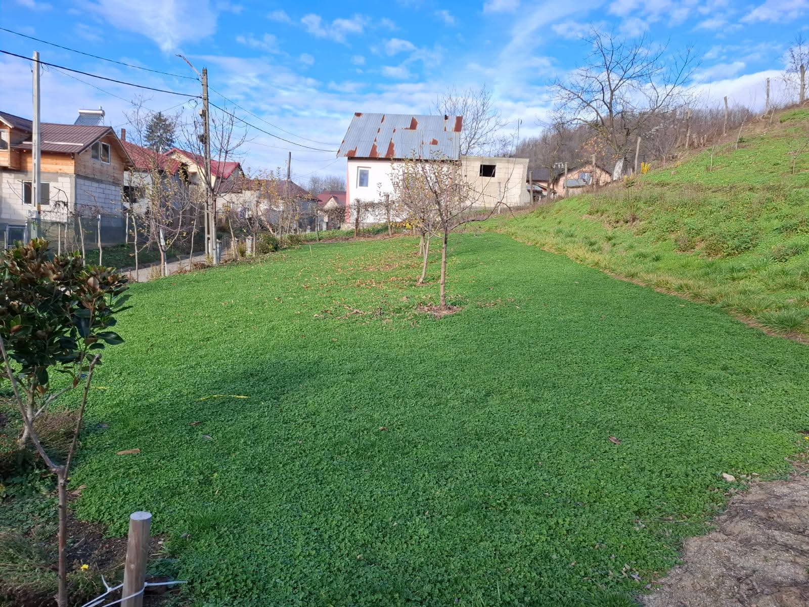 WhatsApp Image 2026-01-19 at 12.47.51 (1)