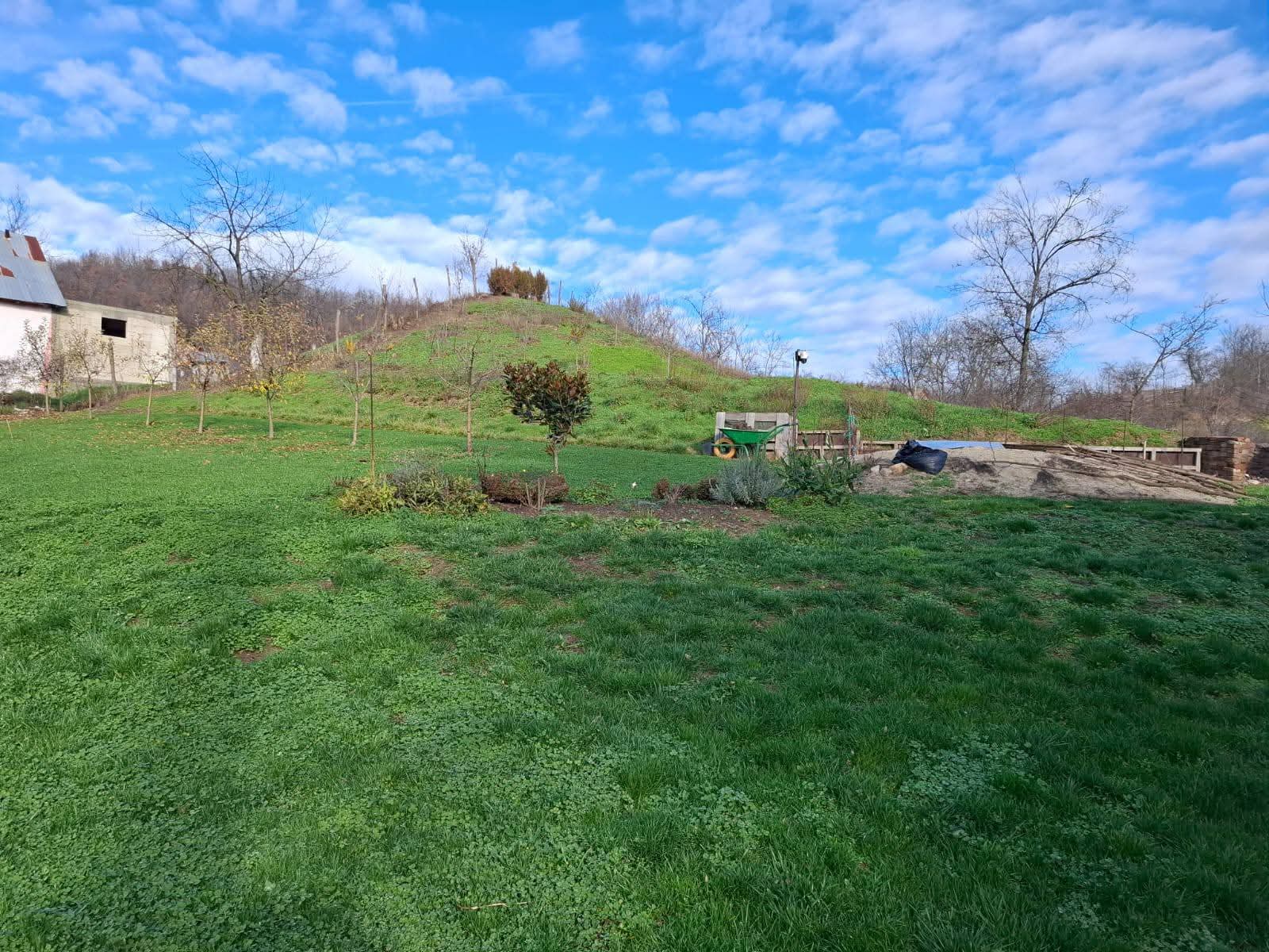 WhatsApp Image 2026-01-19 at 12.47.51 (2)