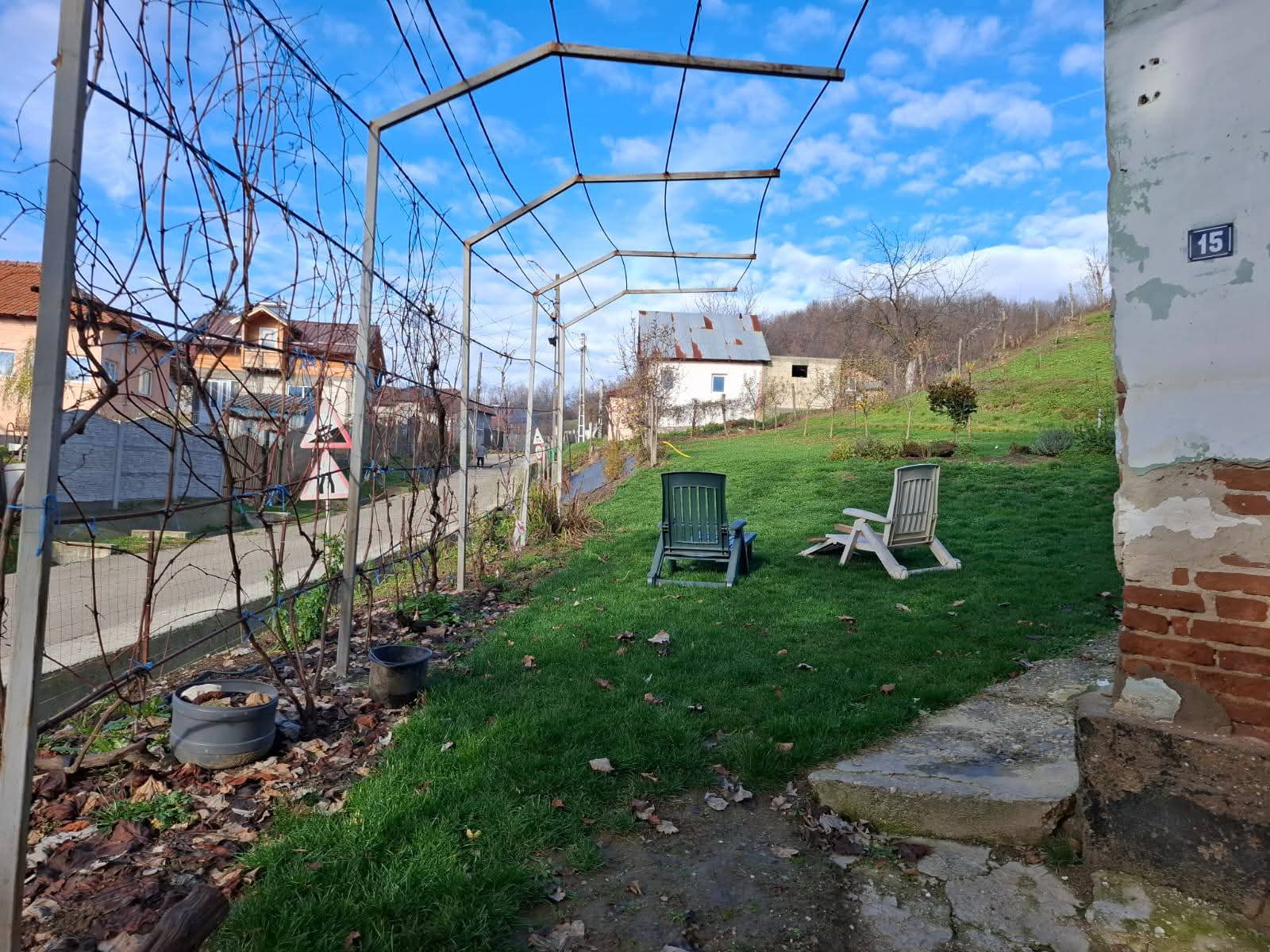 WhatsApp Image 2026-01-19 at 12.47.51