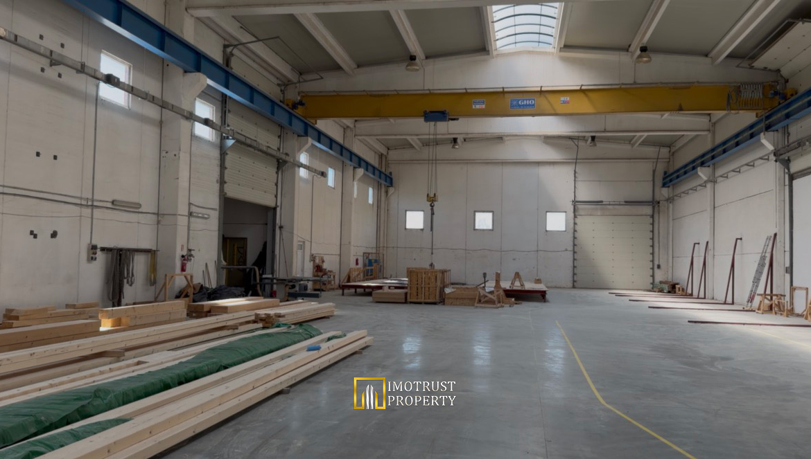 HALA INDUSTRIALA DE VANZARE – ȘAGU, JUDEȚUL ARAD