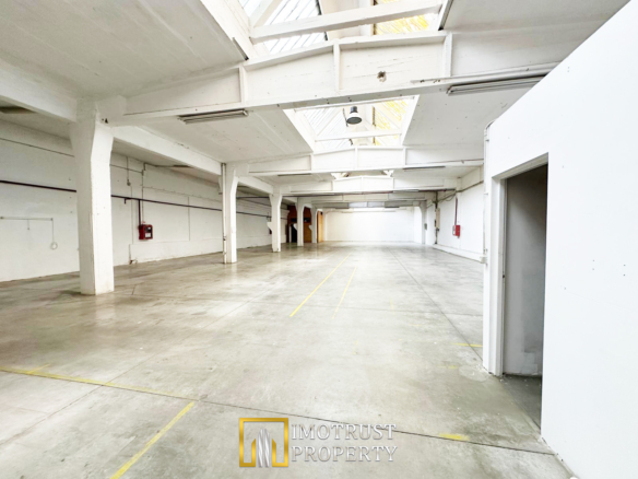 Hala industriala 675 mp, Arad central, acces TIR ideal depozit logitic