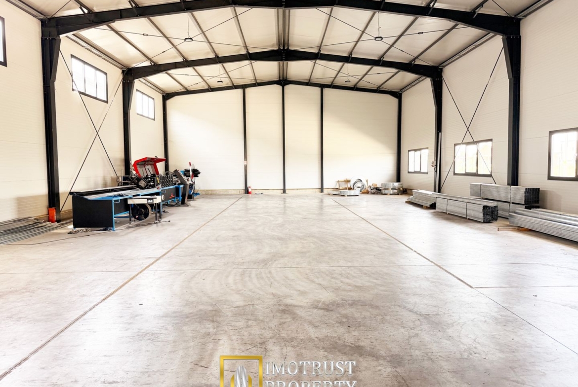 Hala industrială închirere – Vladimirescu, jud. Arad 500 mp