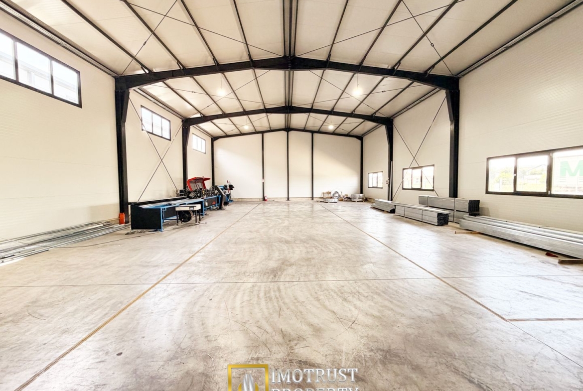 Hala industrială închirere – Vladimirescu, jud. Arad 500 mp