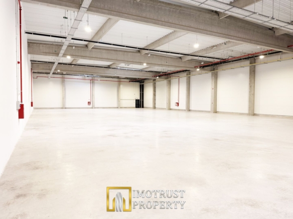 Hala de inchiriat Arad A1 – spațiu industrial modern 2.349 mp