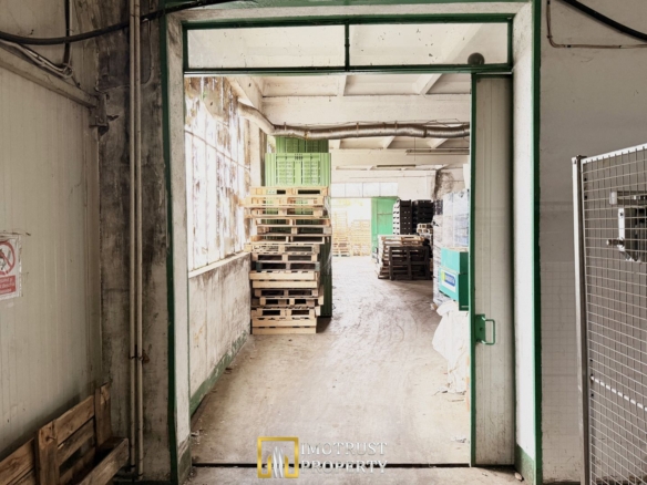 Hala industriala de vanzare Arad – 589 mp