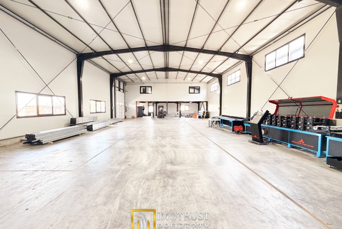 Hala industrială închirere – Vladimirescu, jud. Arad 500 mp