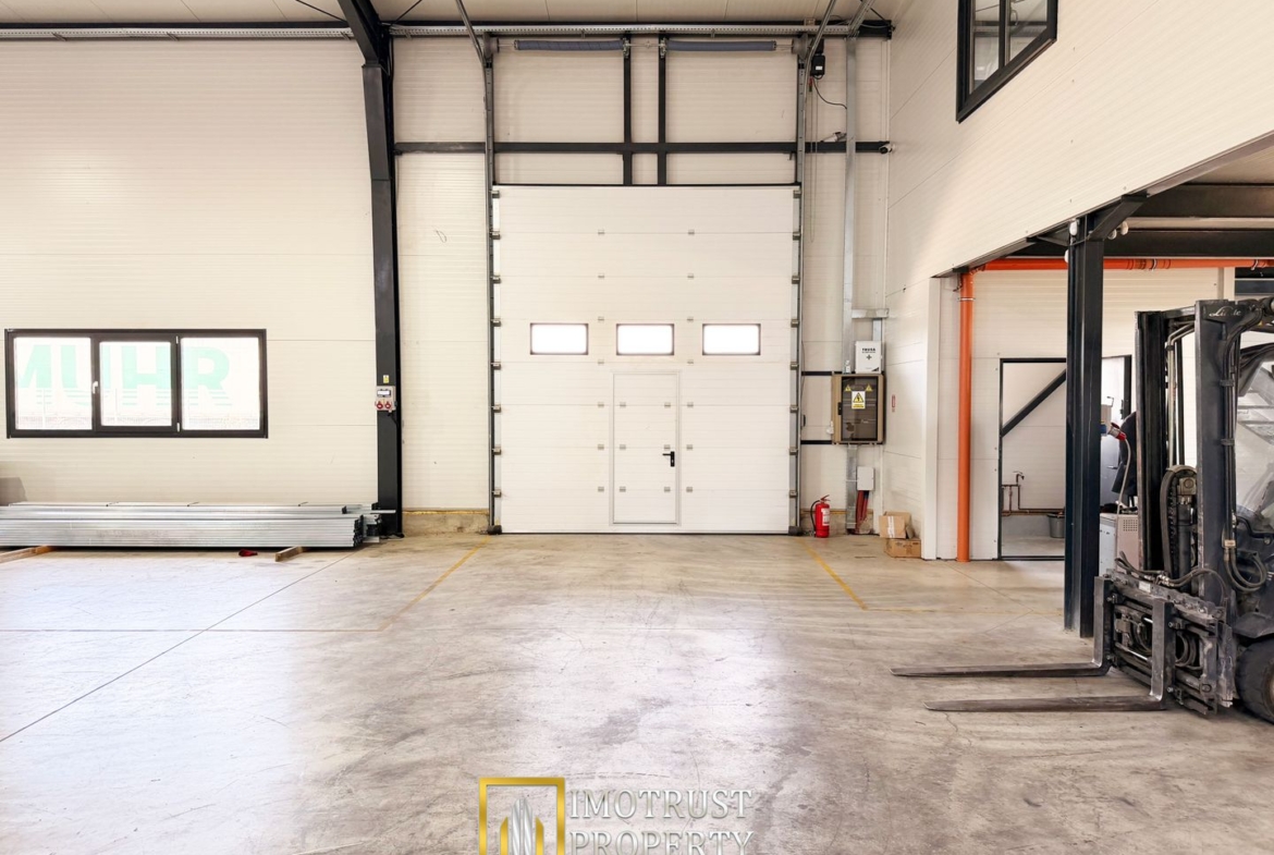 Hala industrială închirere – Vladimirescu, jud. Arad 500 mp