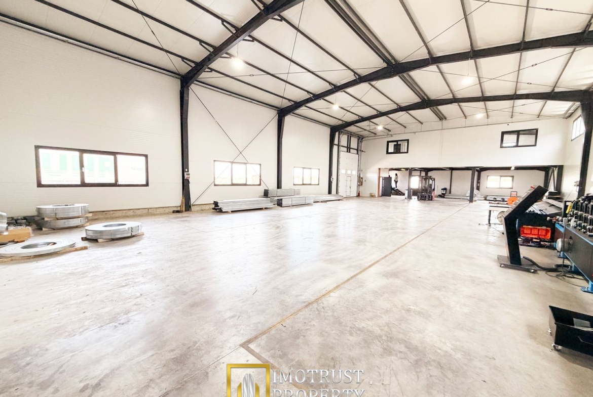 Hala industrială închirere – Vladimirescu, jud. Arad 500 mp