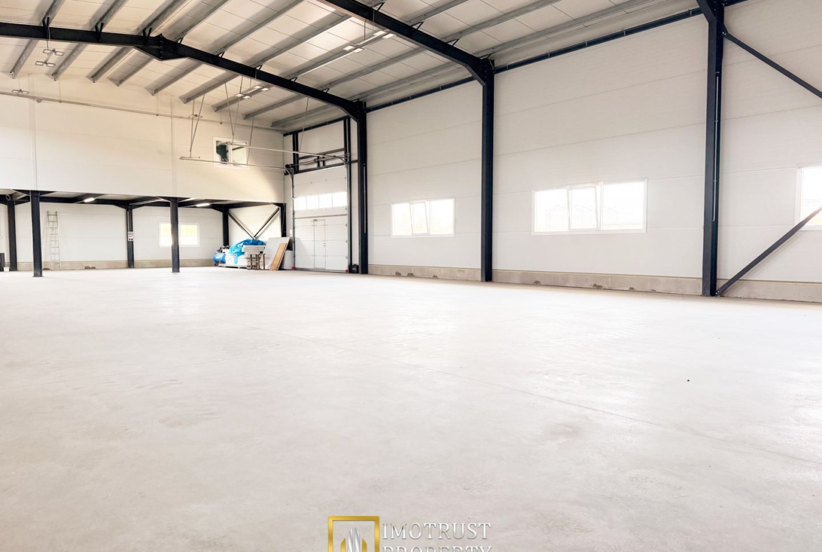 Hala industrială închirere – Vladimirescu, jud. Arad 500 mp