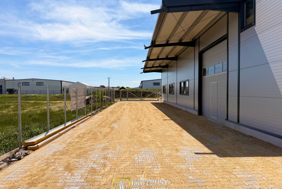 Hala industrială închirere – Vladimirescu, jud. Arad 500 mp
