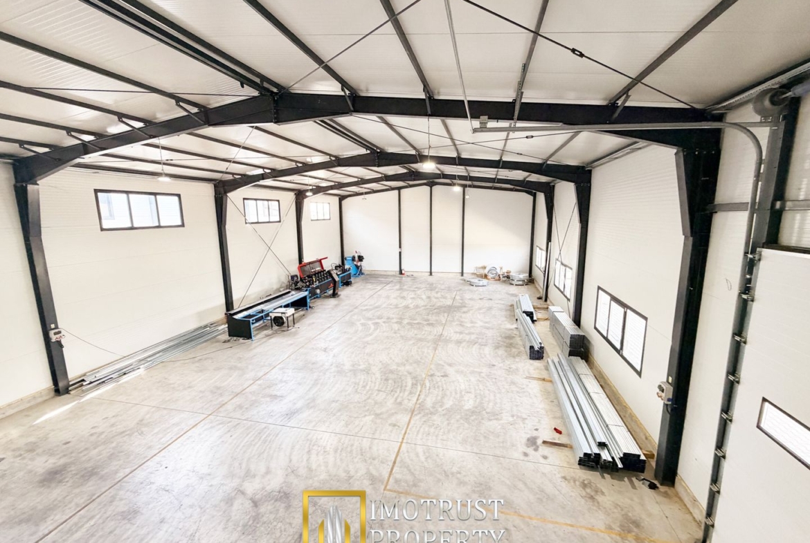 Hala industrială închirere – Vladimirescu, jud. Arad 500 mp