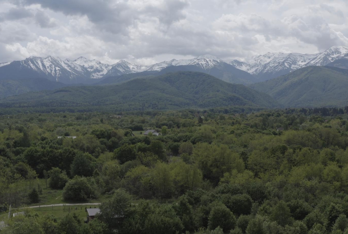 Vând pensiune Valea Avrigului